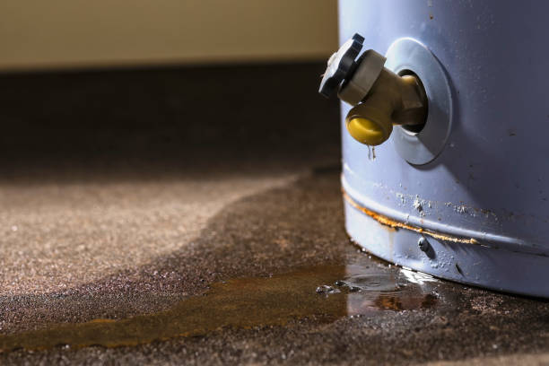 Best Water damage restoration services  in Columbia, IL