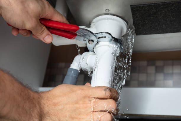Best Ceiling water damage repair  in Columbia, IL