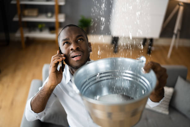 Best Water damage restoration near me  in Columbia, IL