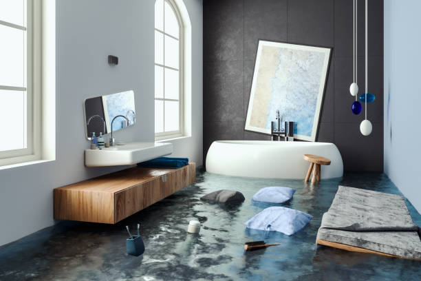 Best Flooded house restoration  in Columbia, IL
