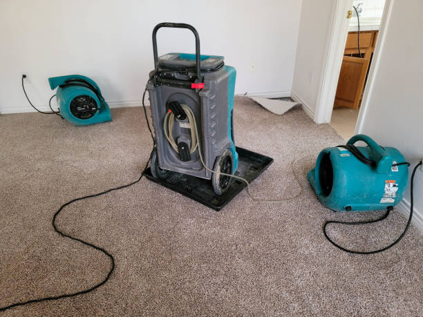 Reliable Columbia, IL Water damage restoration Solutions