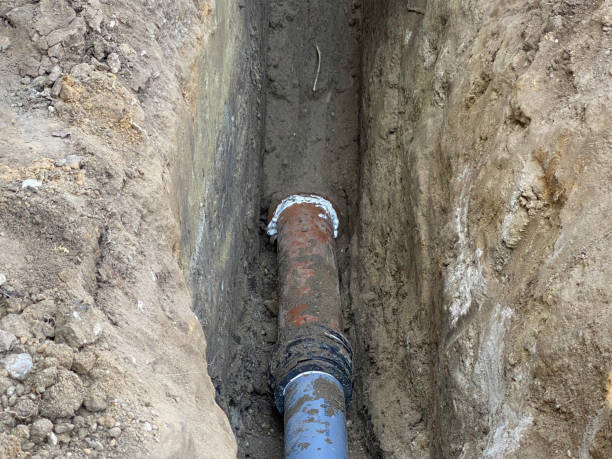Best Flood restoration services  in Columbia, IL
