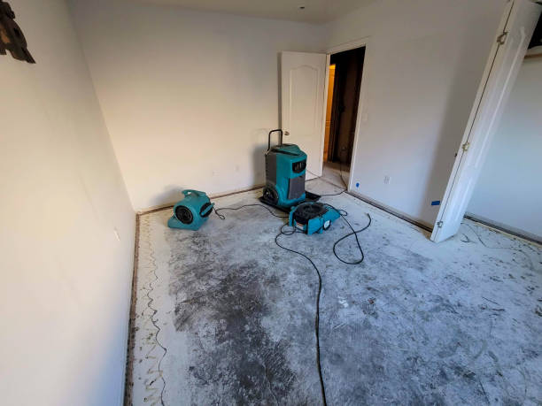 Best Basement water damage restoration  in Columbia, IL