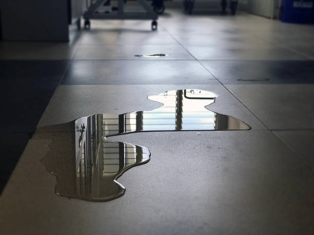 Best 24/7 water damage repair  in Columbia, IL