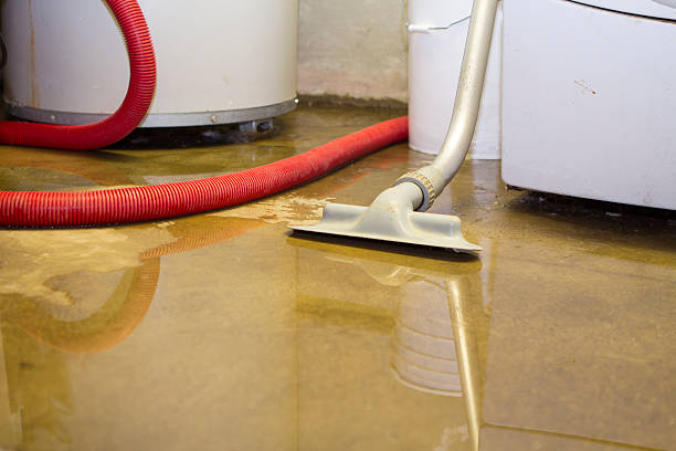 Best Sewage cleanup and water damage restoration  in Columbia, IL