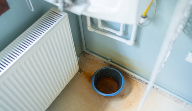 Best Flooded house restoration  in Columbia, IL
