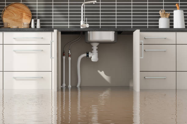 Best Sewage cleanup and water damage restoration  in Columbia, IL