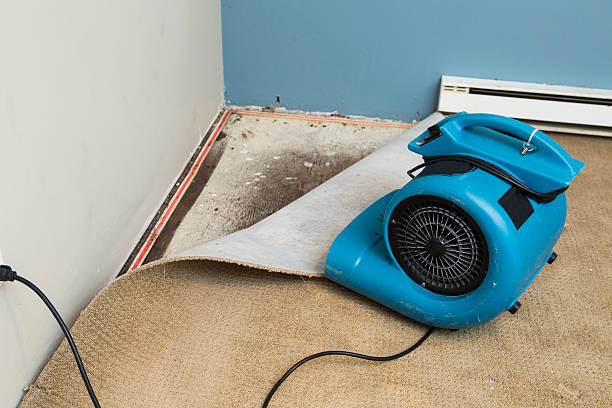Best Commercial water damage restoration  in Columbia, IL